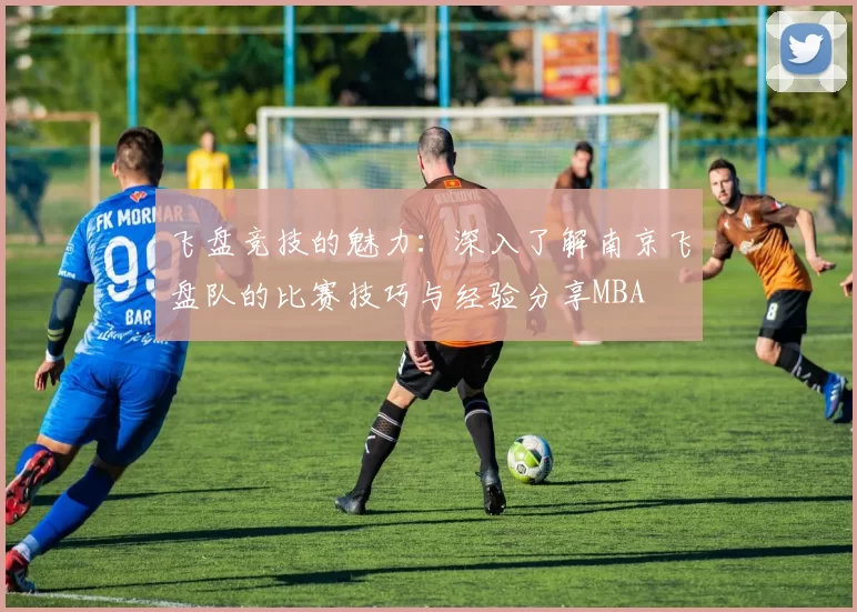 飞盘竞技的魅力：深入了解南京飞盘队的比赛技巧与经验分享MBA