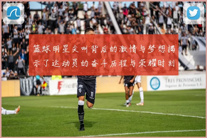 篮球明星尖叫背后的激情与梦想揭示了运动员的奋斗历程与荣耀时刻