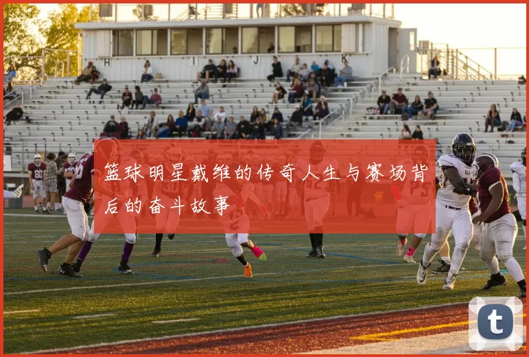 篮球明星戴维的传奇人生与赛场背后的奋斗故事